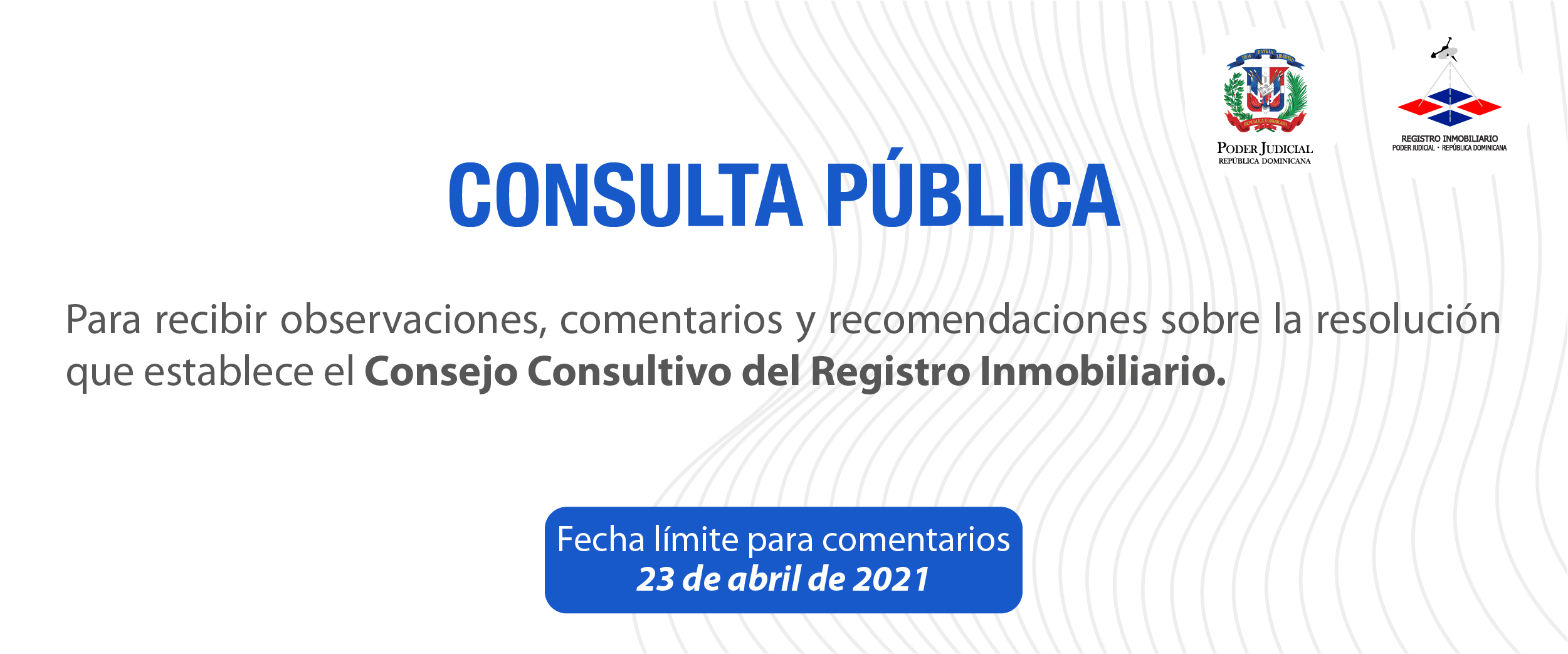 Consulta Pública Consejo Consultivo-03
